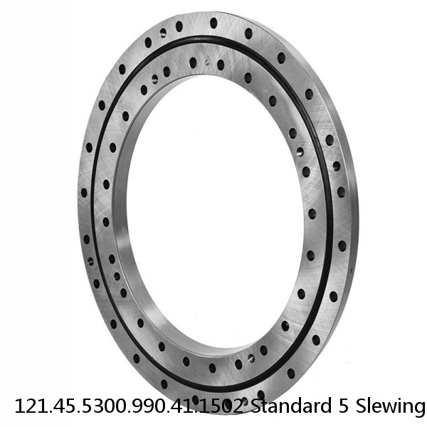 121.45.5300.990.41.1502 Standard 5 Slewing Ring Bearings