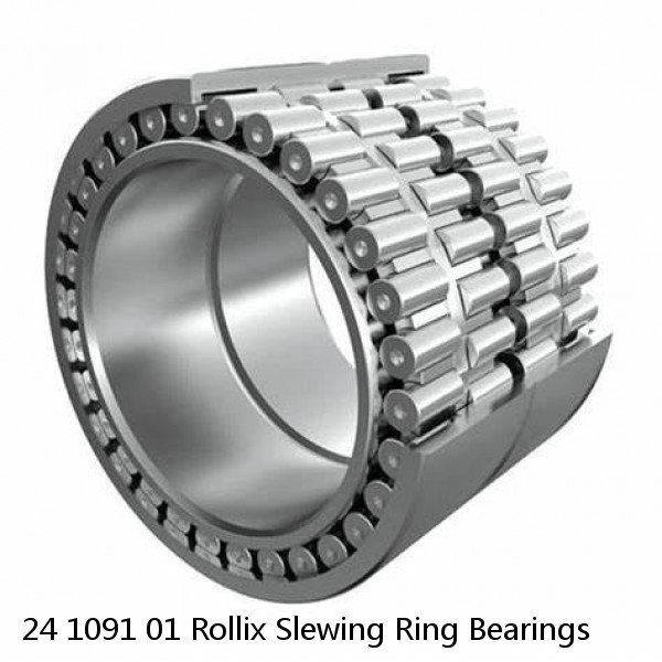 24 1091 01 Rollix Slewing Ring Bearings #1 small image