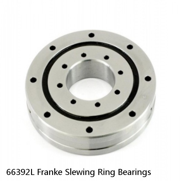 66392L Franke Slewing Ring Bearings #1 small image