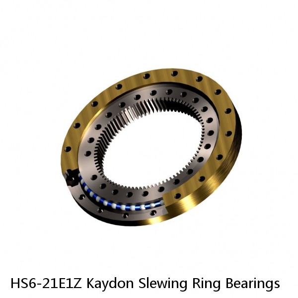 HS6-21E1Z Kaydon Slewing Ring Bearings #1 small image