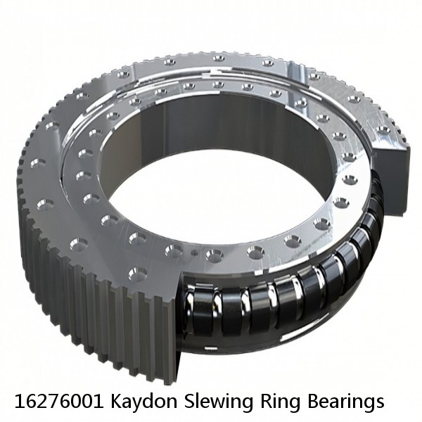 16276001 Kaydon Slewing Ring Bearings #1 small image