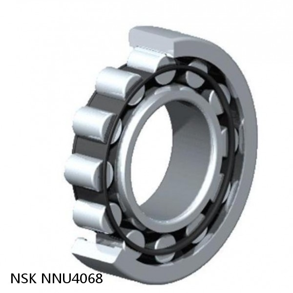NNU4068 NSK CYLINDRICAL ROLLER BEARING #1 small image