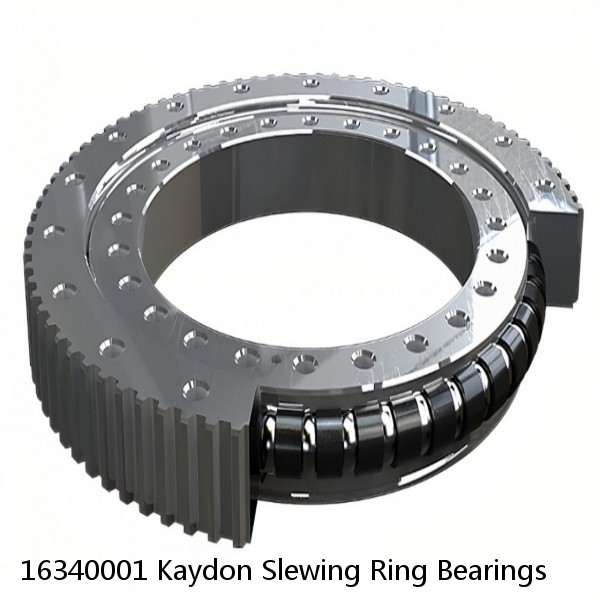 16340001 Kaydon Slewing Ring Bearings #1 image