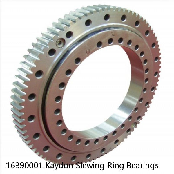 16390001 Kaydon Slewing Ring Bearings #1 image