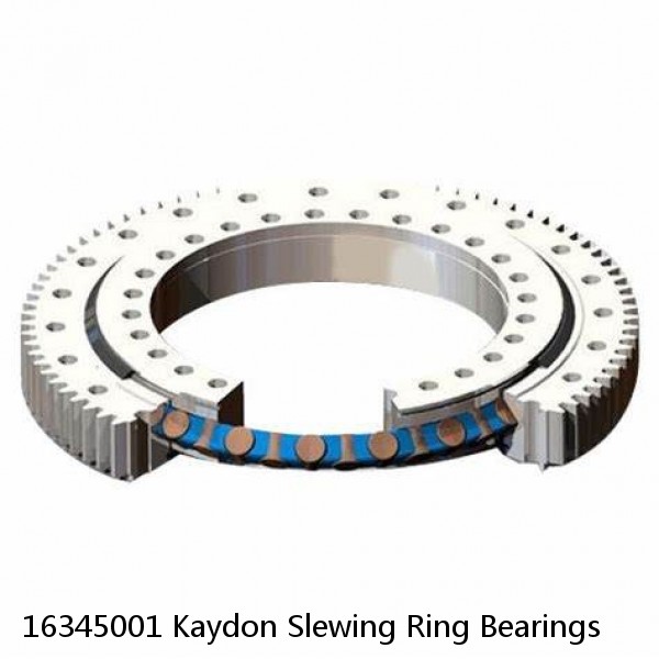 16345001 Kaydon Slewing Ring Bearings #1 image