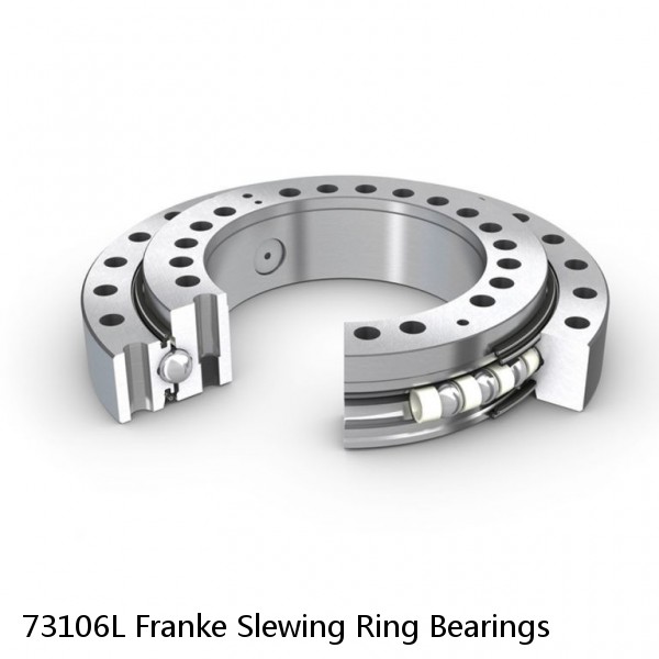 73106L Franke Slewing Ring Bearings #1 image