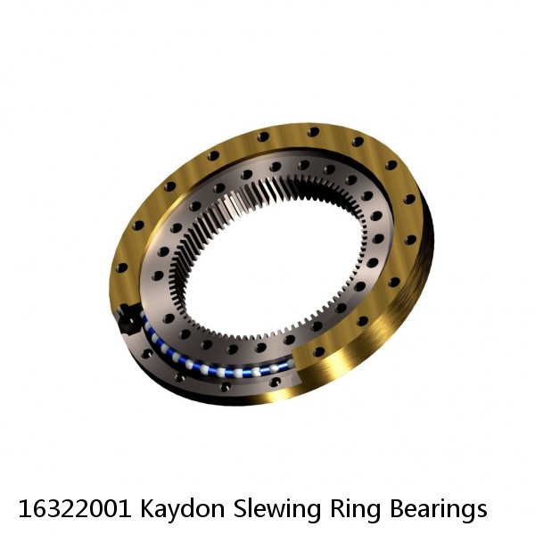 16322001 Kaydon Slewing Ring Bearings #1 image